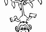 Monkey Coloring Pages Hanging Getcolorings sketch template