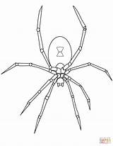 Edderkop Tegninger Spinne Ausmalbild Til Ausdrucken Aranha Edderkopper sketch template