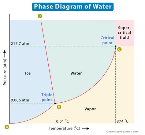 phase diagram  water ho