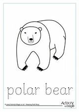 Bear Tracing Word Polar Finger Worksheet Trace sketch template