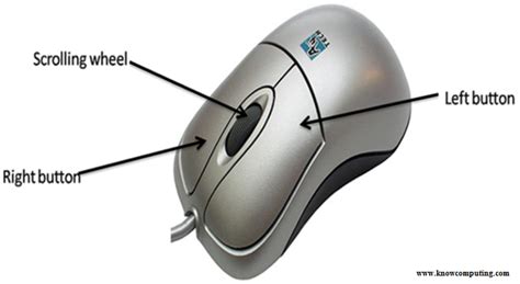 parts   computer mouse   functions  computing