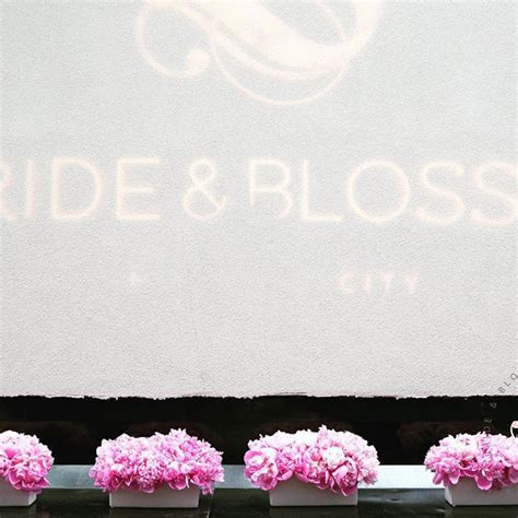 bride blossom atbrideandblossom instagram