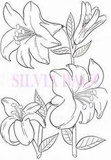 Coloring Pages Flower Print Flores Book Color Para Crafts Painting Google Patterns Fabric Imagen Tutorial Outline Crafty Jewelry Fashion Beautiful sketch template