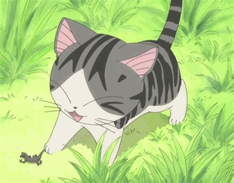 anime cat lizard animated 235460 on