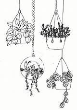 Pflanzen Leicht Draw Abzeichnen Anfänger Gemacht Meinesvenja Letters Hängepflanzen Allesbilder sketch template