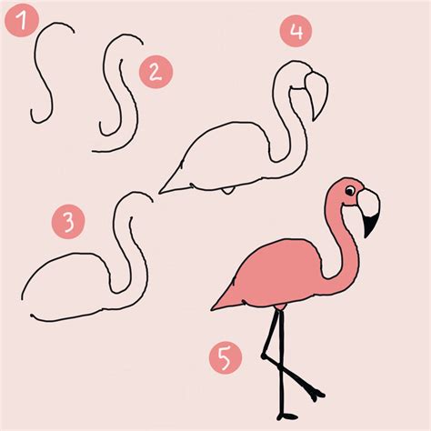 flamingos zeichnen schritt fuer schritt auch fuer kinder und