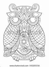 Owl Anteprima sketch template
