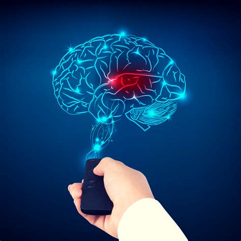 primary ways  drive brain neuroplasticity   brain