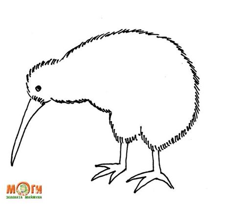 kiwi bird coloring page bird coloring pages coloring pages kiwi bird