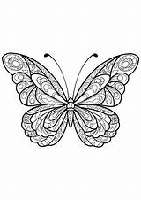 Papillon Papillons Jolis Insectes sketch template
