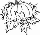 Pumpkin Coloring Patch Pages Clipartmag sketch template