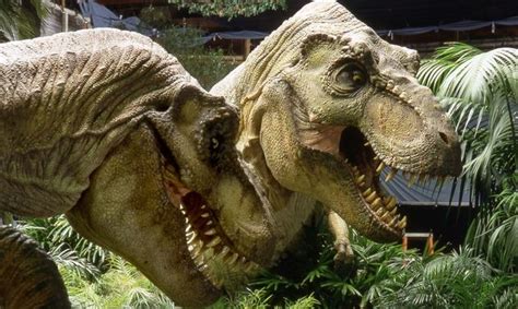 The Lost World Jurassic Park 2 S T Rexes Jurassic Park Jurassic Park
