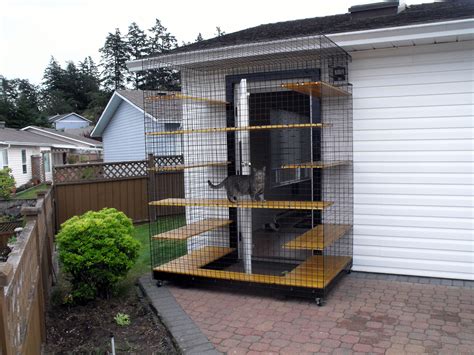 cat enclosures