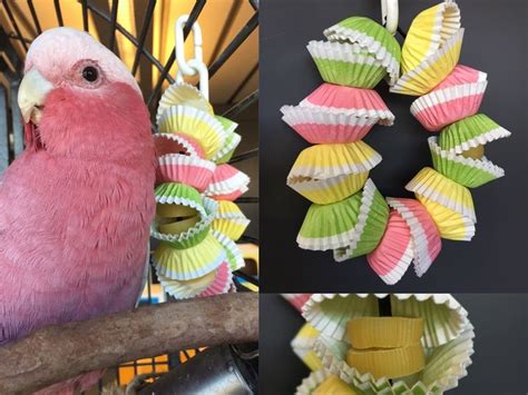 ideas  parrot toys  pinterest bird toys parrot toys diy parrot toys