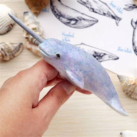 tanya holas  instagram  baby narwhal    whales