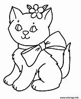 Mignon Kitten Kittens Preschool Colorier sketch template