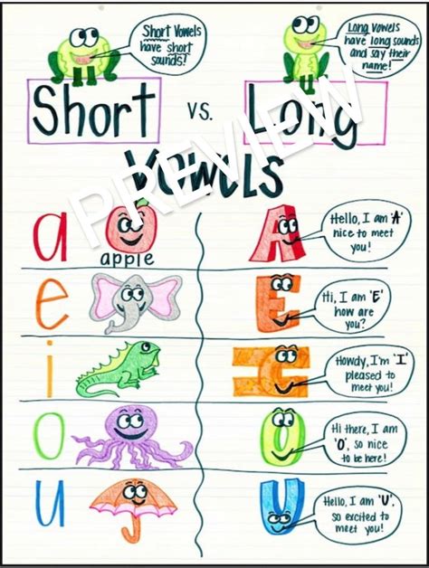 short  long vowels anchor chart etsy