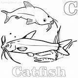 Catfish Coloring Printable Pages Getcolorings sketch template