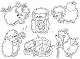 Hedgehogs Istrici Vettore Fumetto Svegli Hedgehog sketch template