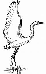 Swamp Netart Birds Landed Colouring sketch template