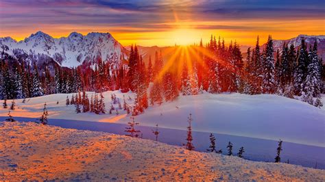 winter sunset wallpaper  pictures