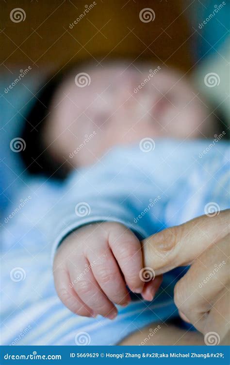 baby hand royalty  stock images image