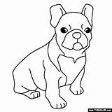 Bulldog Coloring French Pages Puppy Dog Printable Drawing Terrier Boston Color Puppies Thecolor Animals Dogs Line Draw Bull Bulldogs Sheets sketch template