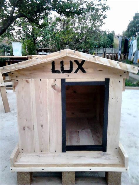 build  cool pallet dog house