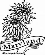 State Coloring Maryland Pages Flowers Flower Drawing Kids Ohio Flag Google Susan Eyed Kentucky Gif Party Getdrawings Printable Central sketch template