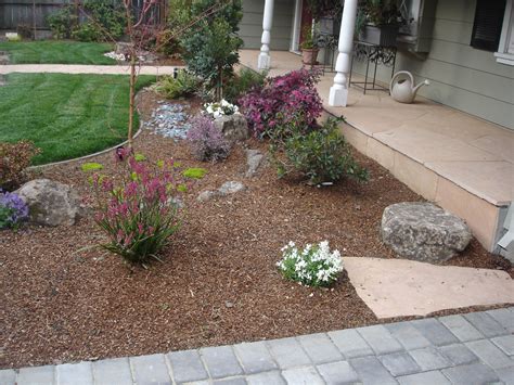 drought tolerant landscaping bay area  placer county