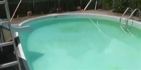 Skinny Dipping Wife Helps Husband Steal From Neighbor