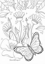 Kleurplaten Vlinder Kleurboeken Volwassenen Vlinders Doodle sketch template