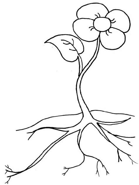 family tree  root clipart clip art library