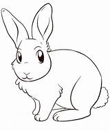 Bunny Animal sketch template