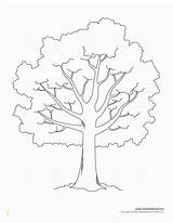 Tree Coloring Leafless Template Printable Divyajanani sketch template