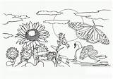 Coloring Nature Pages Printable Kids sketch template