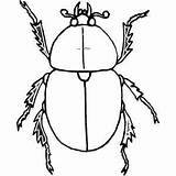 Coloring Dung Escarabajo Freeprintablecoloringpages Beetles sketch template
