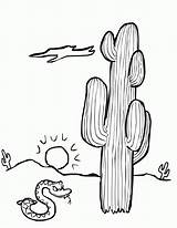 Coloring Cactus Deserto Serpiente Bestcoloringpagesforkids Desertos Dibujosonline sketch template