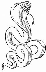 Coloring Rattlesnake Diamondback Getdrawings Western Pages Snake sketch template