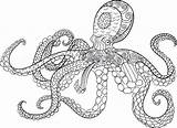 Coloring Octopus Zentangle Mandala Therapy Antistress Oceanic sketch template