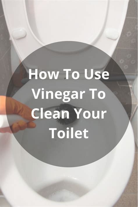 vinegar  clean hard stains   toilet