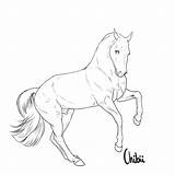 Lineart Realistic Gaited Yarn sketch template