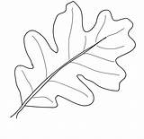 Coloring Leaf Leaves Oak Pages Template Fall Drawing Color Thanksgiving Palm Print Printable Kindergarten Autumn Draw Kids Getdrawings Vines Pumpkin sketch template