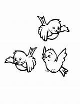 Bird Coloring Pages Print Birds Kids Sheets Cartoon sketch template