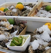 Afbeeldingsresultaten voor Japanse oester dieet. Grootte: 178 x 185. Bron: www.vleet.be