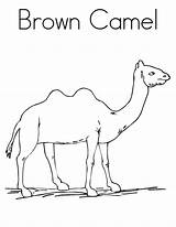 Coloring Camel Pages Color Printable Brown Kids Sally Template Print Popular sketch template