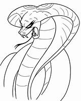 Cobra Snake Coloring Pages King Drawing Head Clipart Printable Viper Scary Animals Realistic Color Animal Cool Snakes Fangs Striking Clip sketch template
