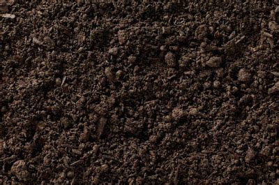 pulverized black dirt topsoil wasco nursery