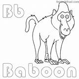 Baboon Coloring Pages Getcolorings Color Print sketch template