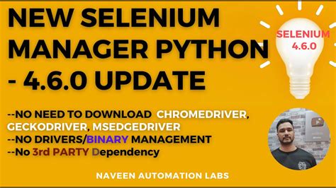 selenium manager python update     chromedriver